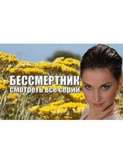 Бессмертник 4 сезон даты выхода новых серий — Кино и сериалы на EPSCAPE