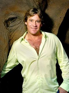 Стив Ирвин (Steve Irwin ), Актер: фото, биография, фильмография, новости -  Вокруг ТВ.