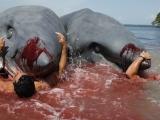 фото Угроза из глубины