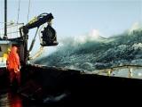 фото Deadliest Catch