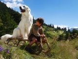 фото Белль и Себастьян: Приключения продолжаются