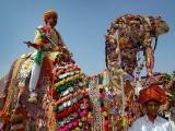 фото Раджастан – яркое наследие / Rajasthan — A Colourful Legacy