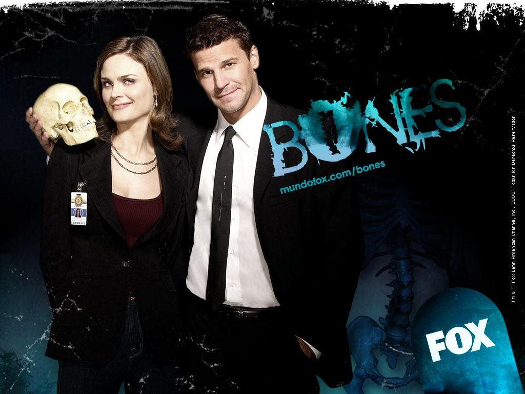 Сериал Кости (Bones): фото, видео, описание серий - Вокруг ТВ.