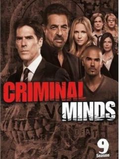     Criminal Minds -   DVD