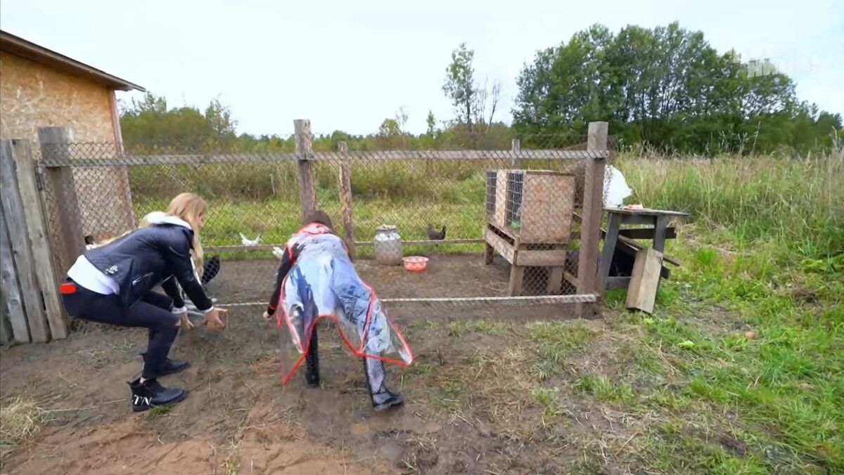 Шоу Отчаянные хозяйки фото, видео, описание выпусков - Вокруг ТВ.