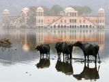 фото Раджастан – яркое наследие / Rajasthan — A Colourful Legacy