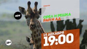 Орел и Решка. Рай и Ад. Звездные выпуски. 14 декабря 19:00