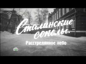 "Сталинские соколы. Расстрелянное небо". Фильм Владимира Чернышёва из цикла "НТВ-видение"