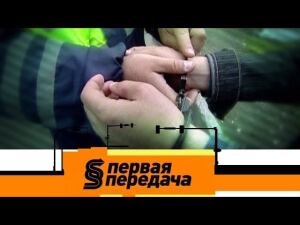 "Первая передача": тюрьма за тонировку, ДТП с дверью и выплаты по ОСАГО