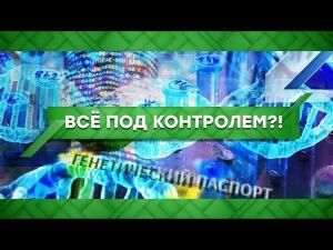 "Место встречи": Все под контролем?! (08.06.2020)