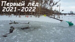 Первый лед 2021-2022  ЗЛЫЕ ПОКЛЁВКИ окуня на безмотылку! Рыбалка зимой