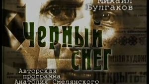 Чёрный снег 2001. Серия 13