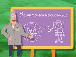 Школа Доктора Комаровского: Защита от насекомых